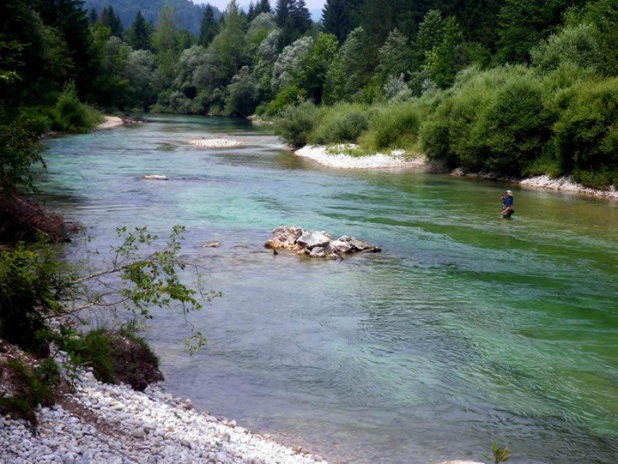 Rems Daire Bohinj Dış mekan fotoğraf